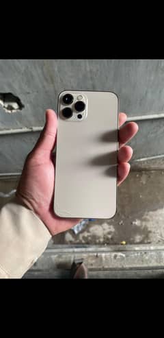 iphone 12 pro max 256gb