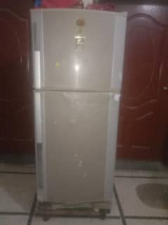 dowlance medium size fridge