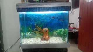 Fish