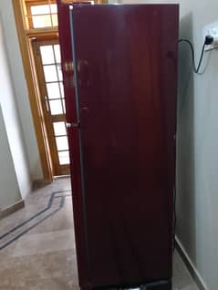 Rient fridge best condition