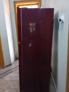 Orient fridge