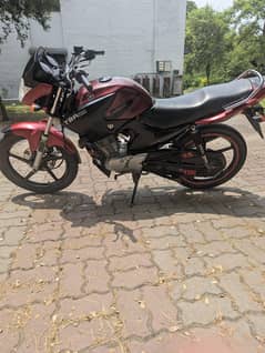 Yamaha YBr 125