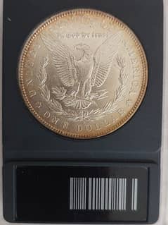 Morgan silver dollar