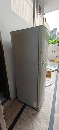 SAMSUNG Double Door Full Size Fridge