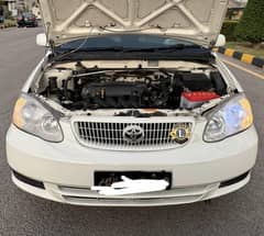 Totya corolla xli