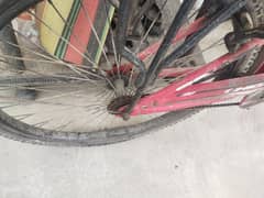 gear cycle