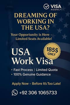 USA Work Visa – Fast Process | Only $185 | Limited Seats