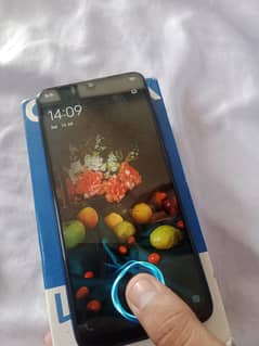 vivo