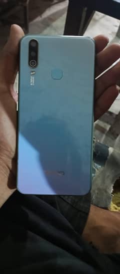 vivo