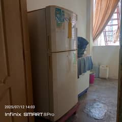 haier mideim size fridge 2 year old