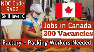 Bike Rider Jobs , Driver jobs , Company Work Visa , Jobs in sCanada