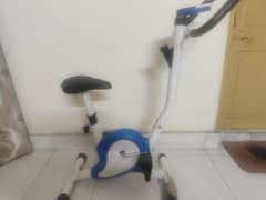 exercise cycle