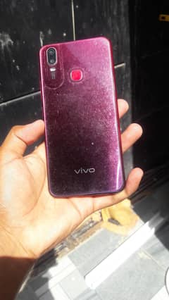 vivo
