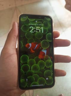iPhone X PTA Approve