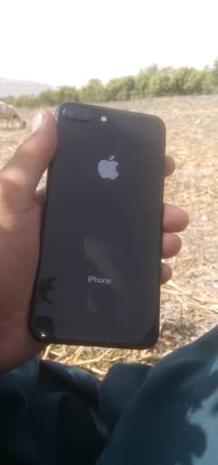 03303734218(1w warinty all ok 10 by 10 /256 storage 2 year sim work