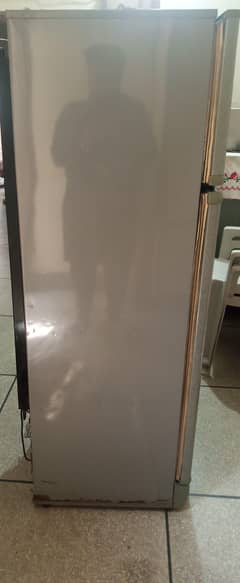fridge