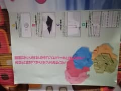singer apricot 9700