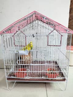 A Pair of Budgies + 1 Cage
