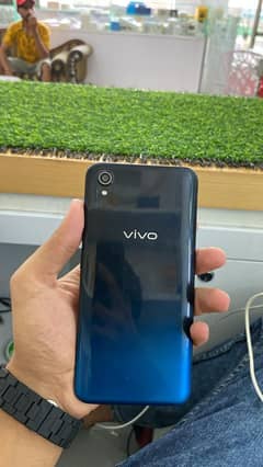 Vivo