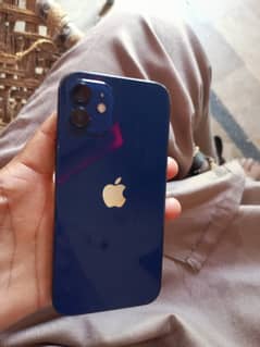 Iphone 12 pta approved