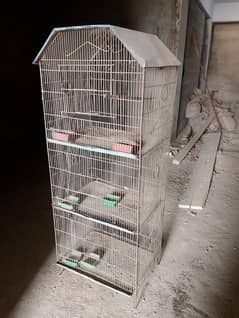birds carage