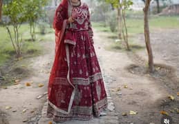 Barat Maroon red Lehnga