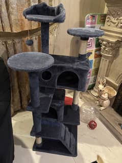 Cat house