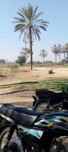 Honda CD 70 for sale