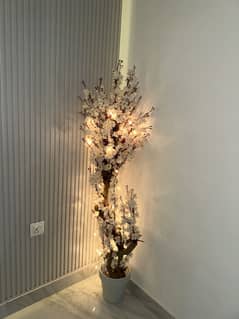 Flower plant
