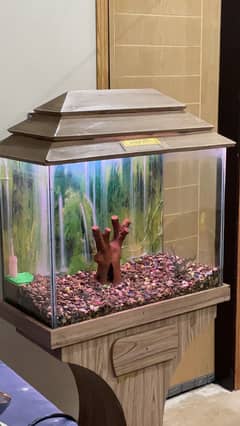 Aquriam