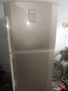 full size fridge Haier