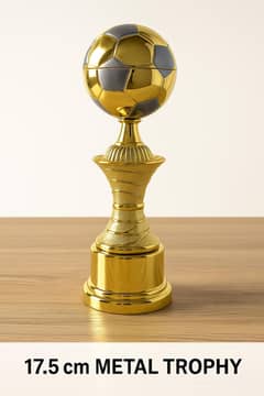 Affordable Trophies & Medals – For Schools, Offices, and Sports Events