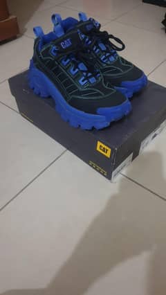 original cat shoes