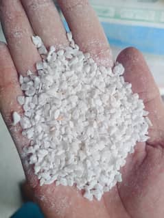 PUKHTOON
