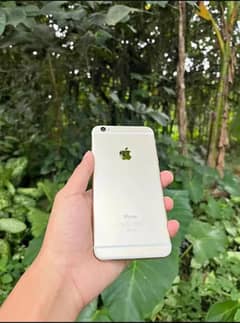 IPHONE 6 PLUS PTA OFFICIALLY APPROVED