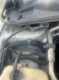 gli genuine