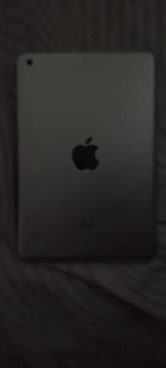 Apple Ipad