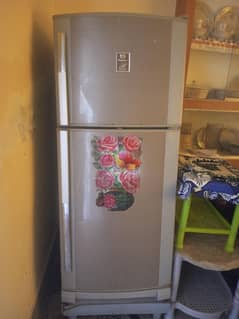 fridge for sale , working condition . only need of gas refill.