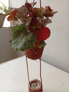 Home decoration