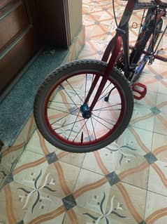 Bmx/Phoenix