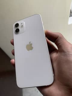 iPhone 12 dual PTA approved water pack