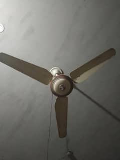 Ceiling Fan