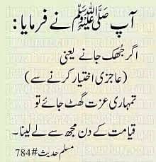 M.Minhal