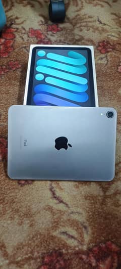 iphone ipad mini 6
