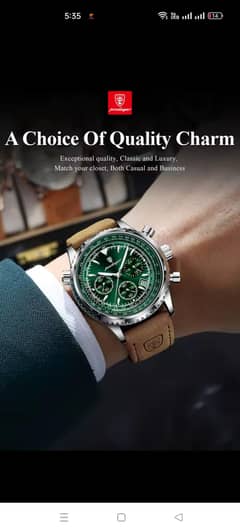 Poedagar Brand Luxury Wristwatch
