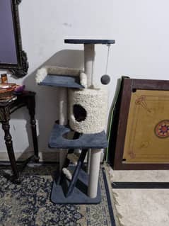 Cat Playgym