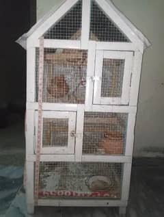 budgie