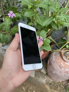 Iphone 7 plus