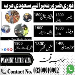 company Viza! Contact Now! 03110424267