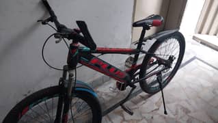 new cycle